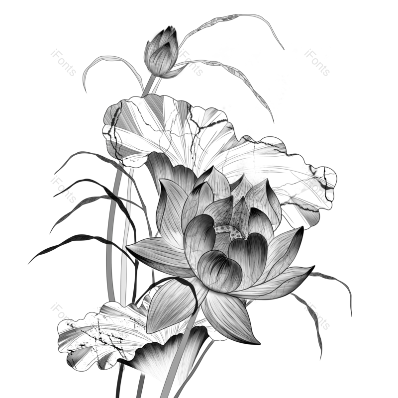 水墨图片,中国风元素,卡通PNG,荷花免抠素材